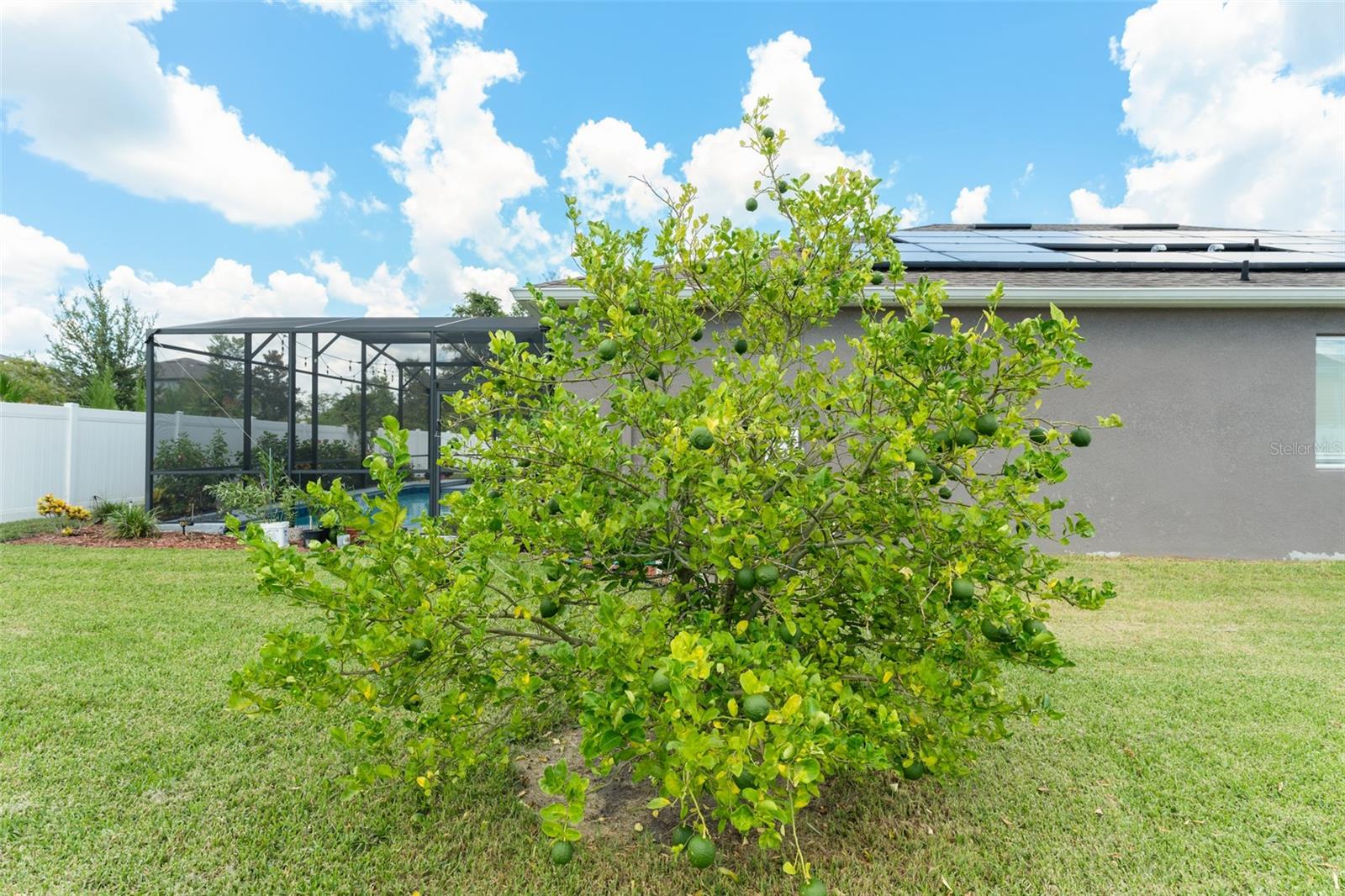 Image 42 of 47 For 1431 Sharon Rose Trace