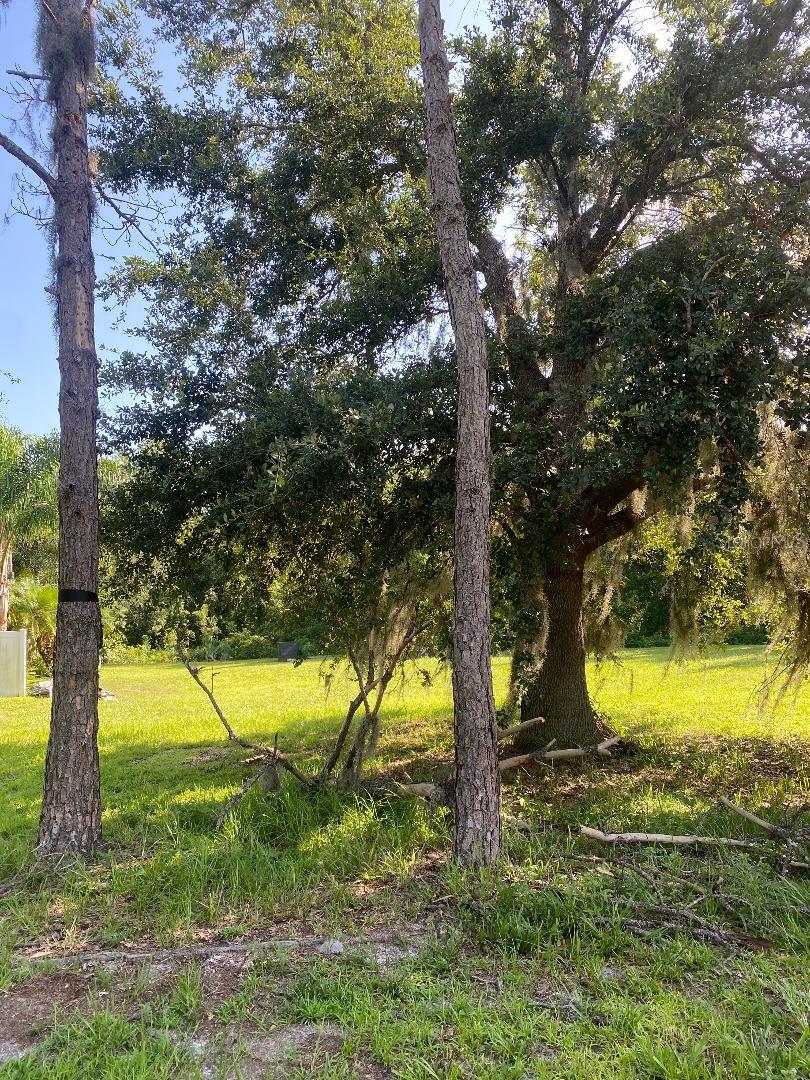 Image 42 of 44 For 11080 Taeda Drive