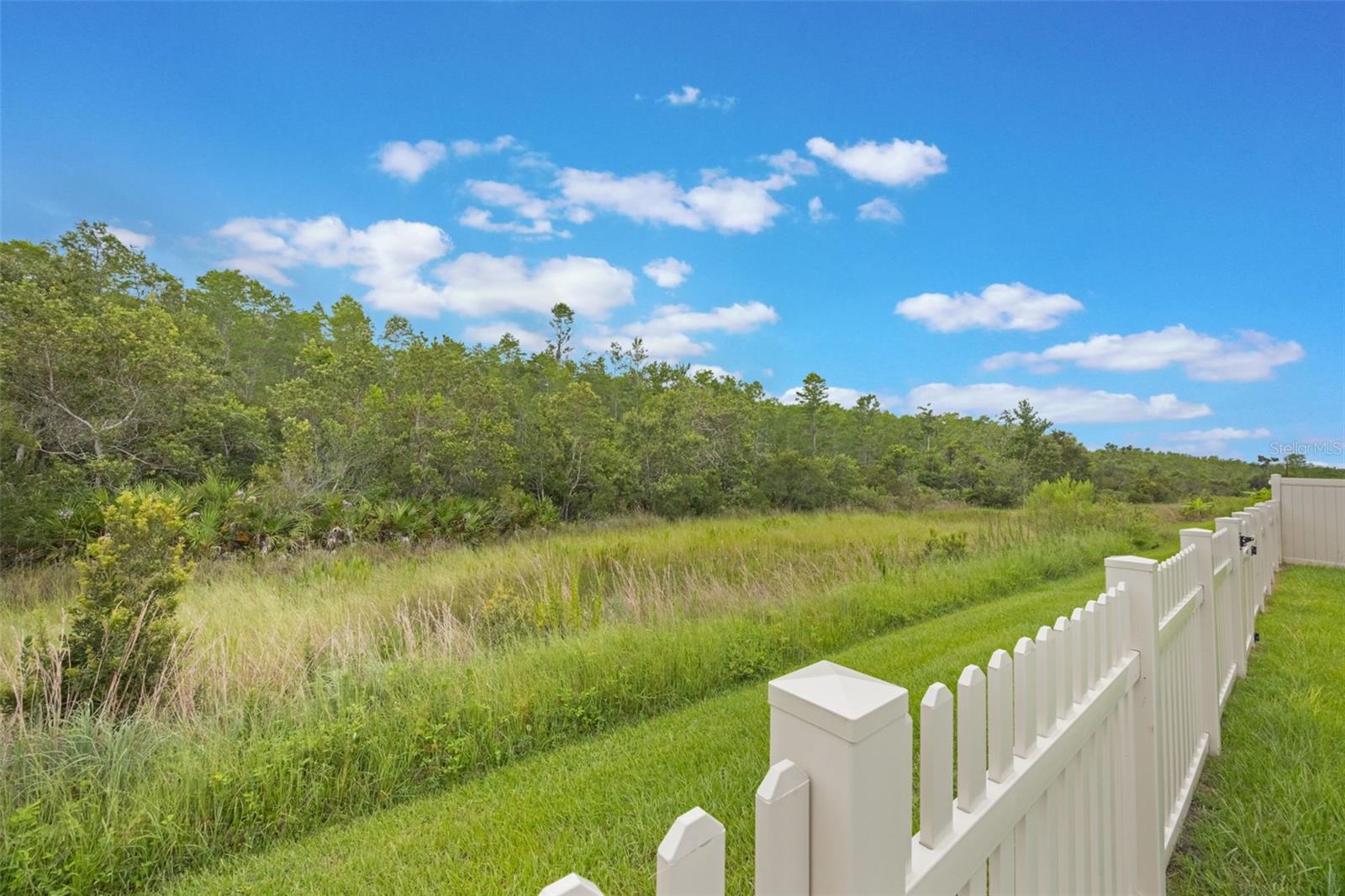 Image 7 of 39 For 3617 Vega Creek Drive