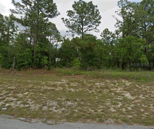 Listing Details for Sw 154 Lane Rd, OCALA, FL 34473