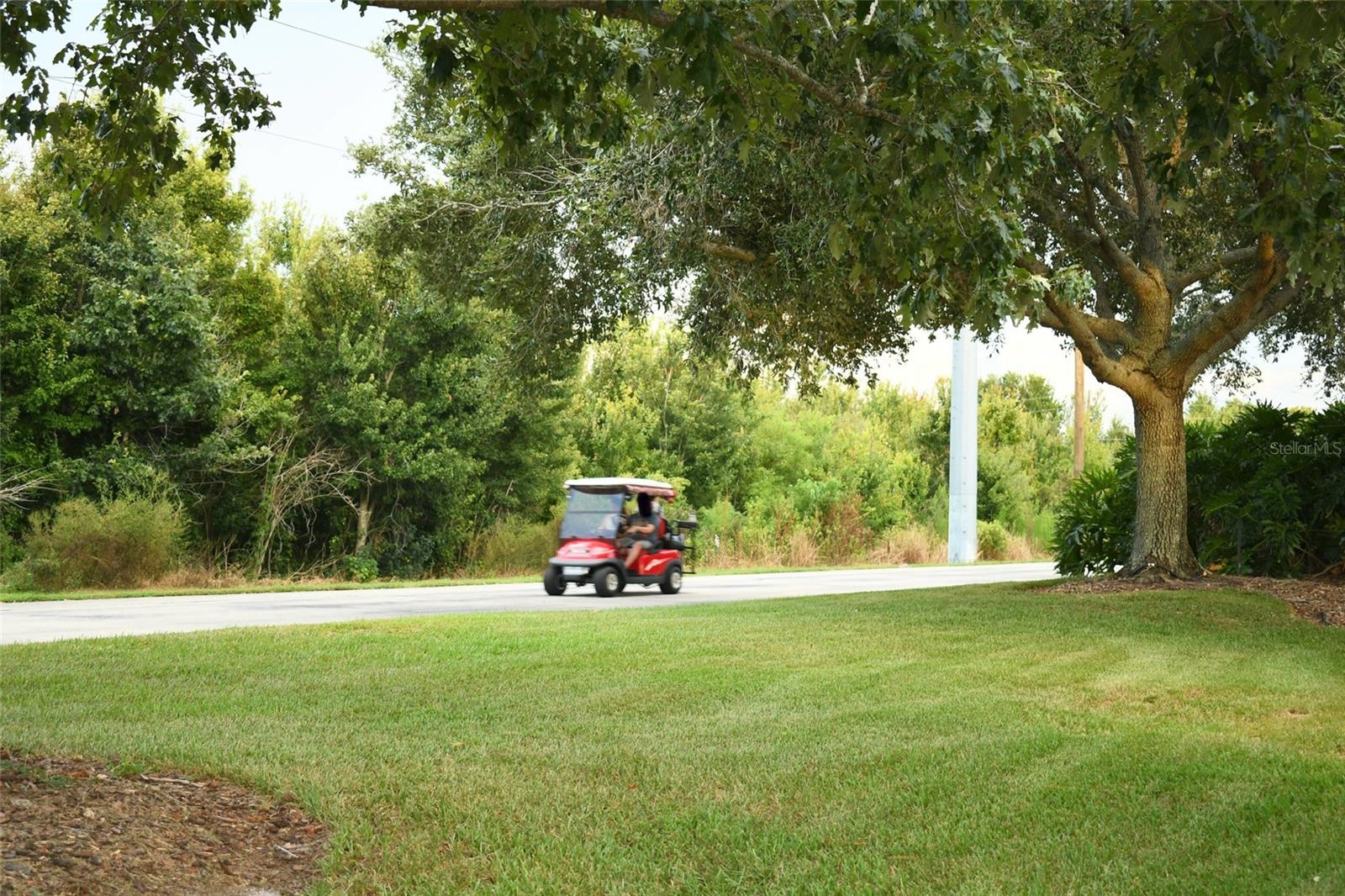 Image 64 of 64 For 206 Golf Vista Drive