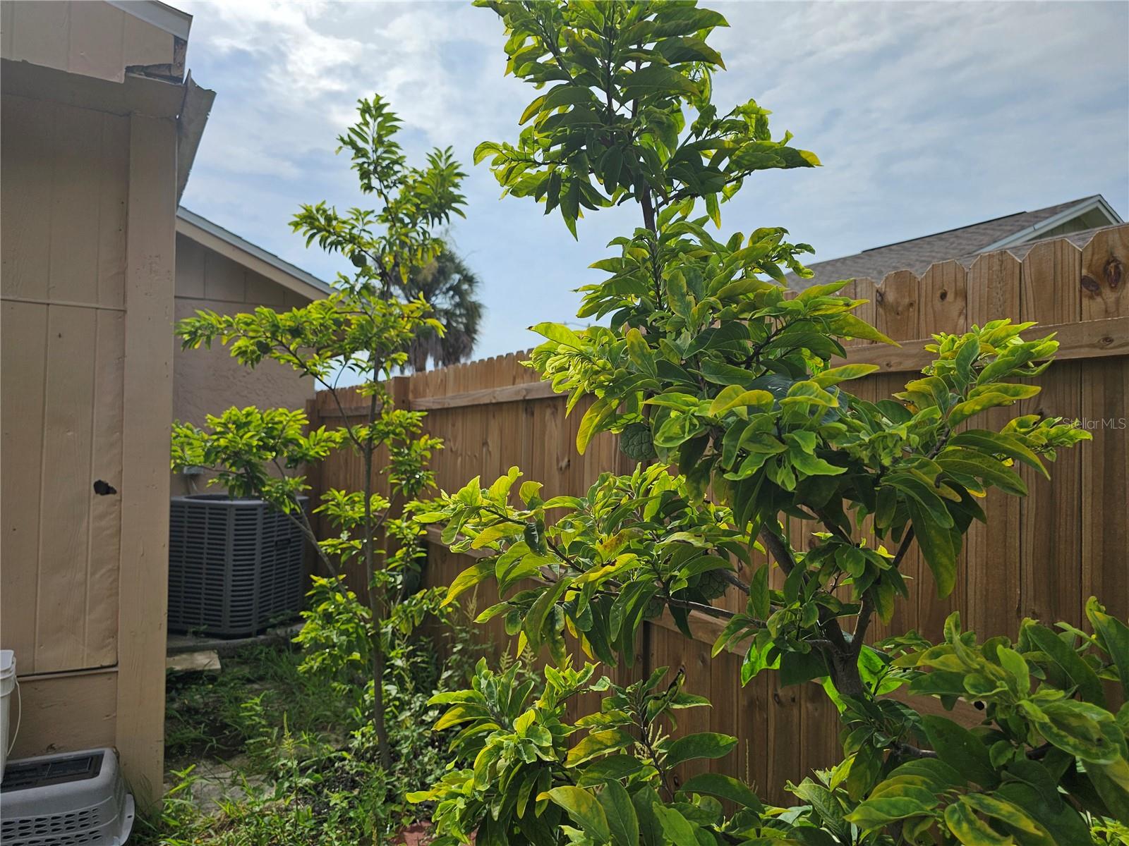 Image 22 of 23 For 12623 Majorama Drive