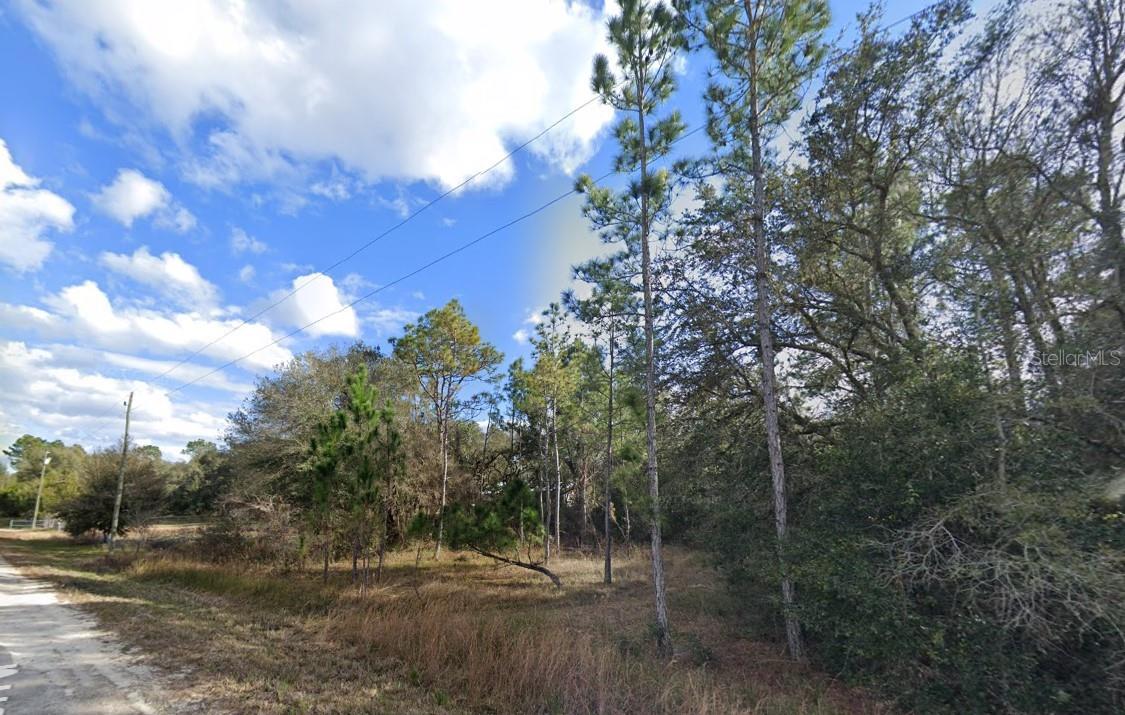 Details for 33472 West Boulevard, WEBSTER, FL 33597