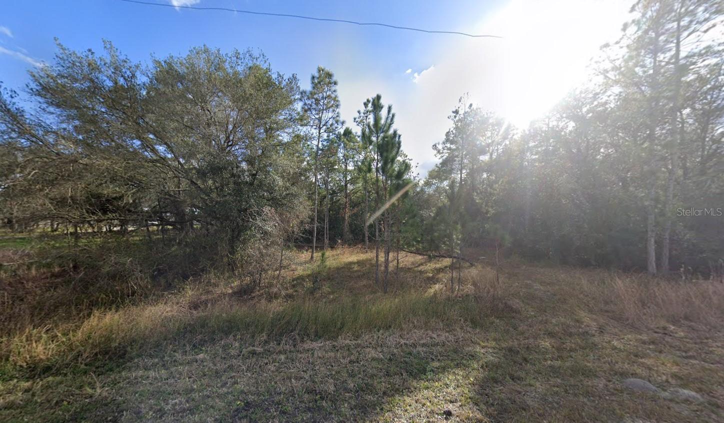 Image 8 of 13 For 33472 West Boulevard