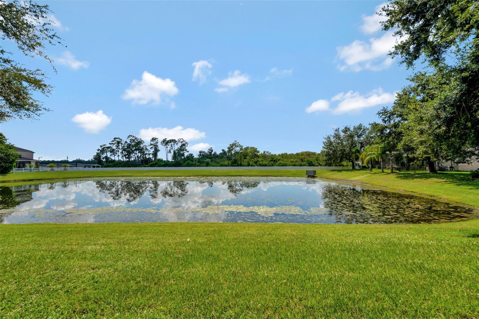 Image 19 of 49 For 9716 Pecky Cypress Way
