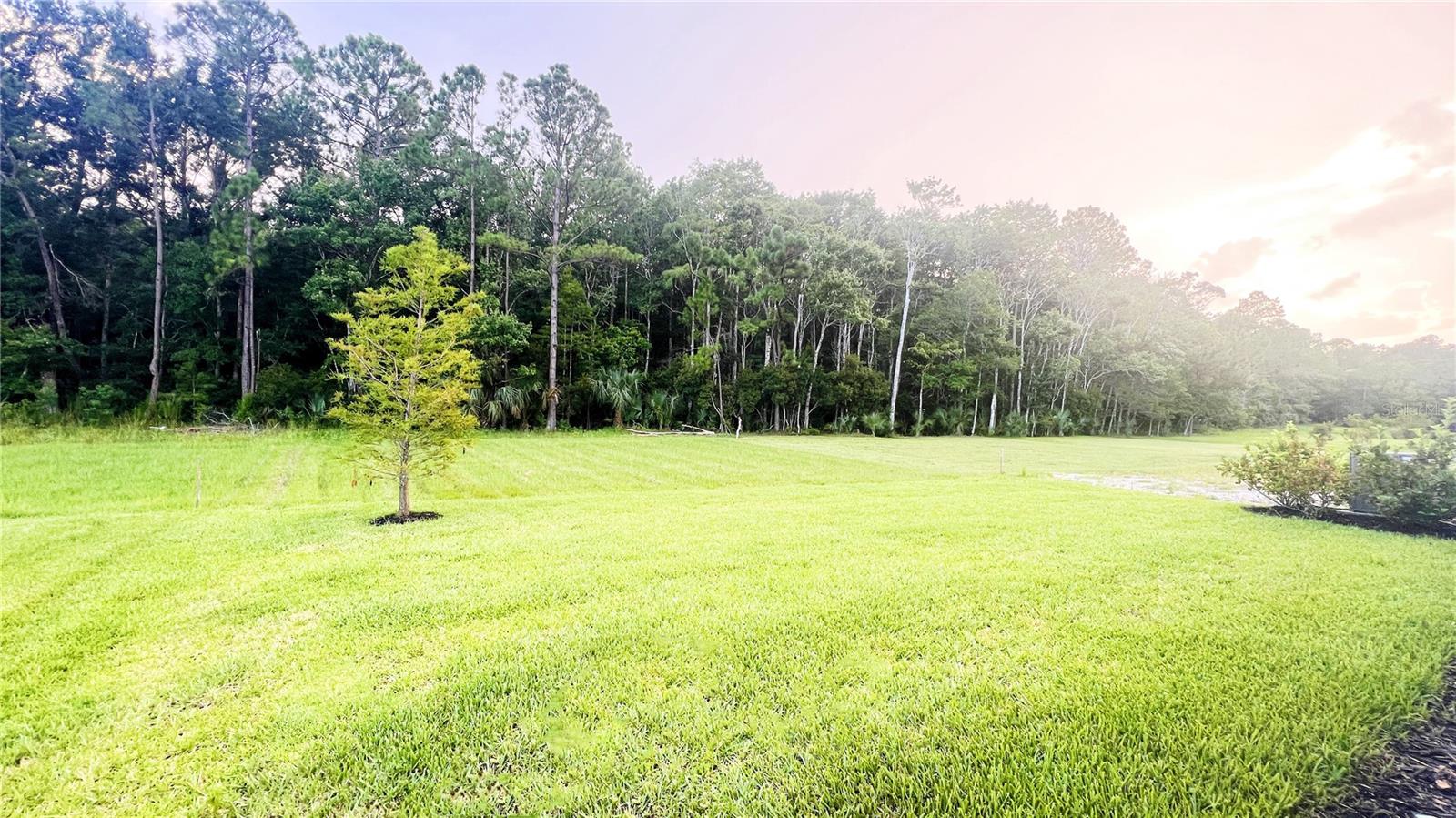 Image 35 of 47 For 635 Cedar Preserve Lane