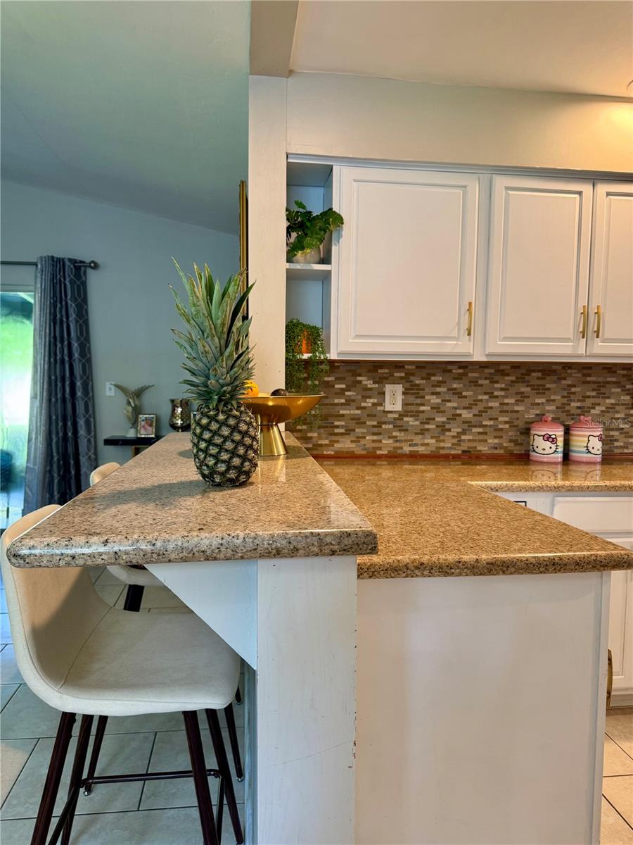 Image 5 of 17 For 1154 Fountainhead Drive