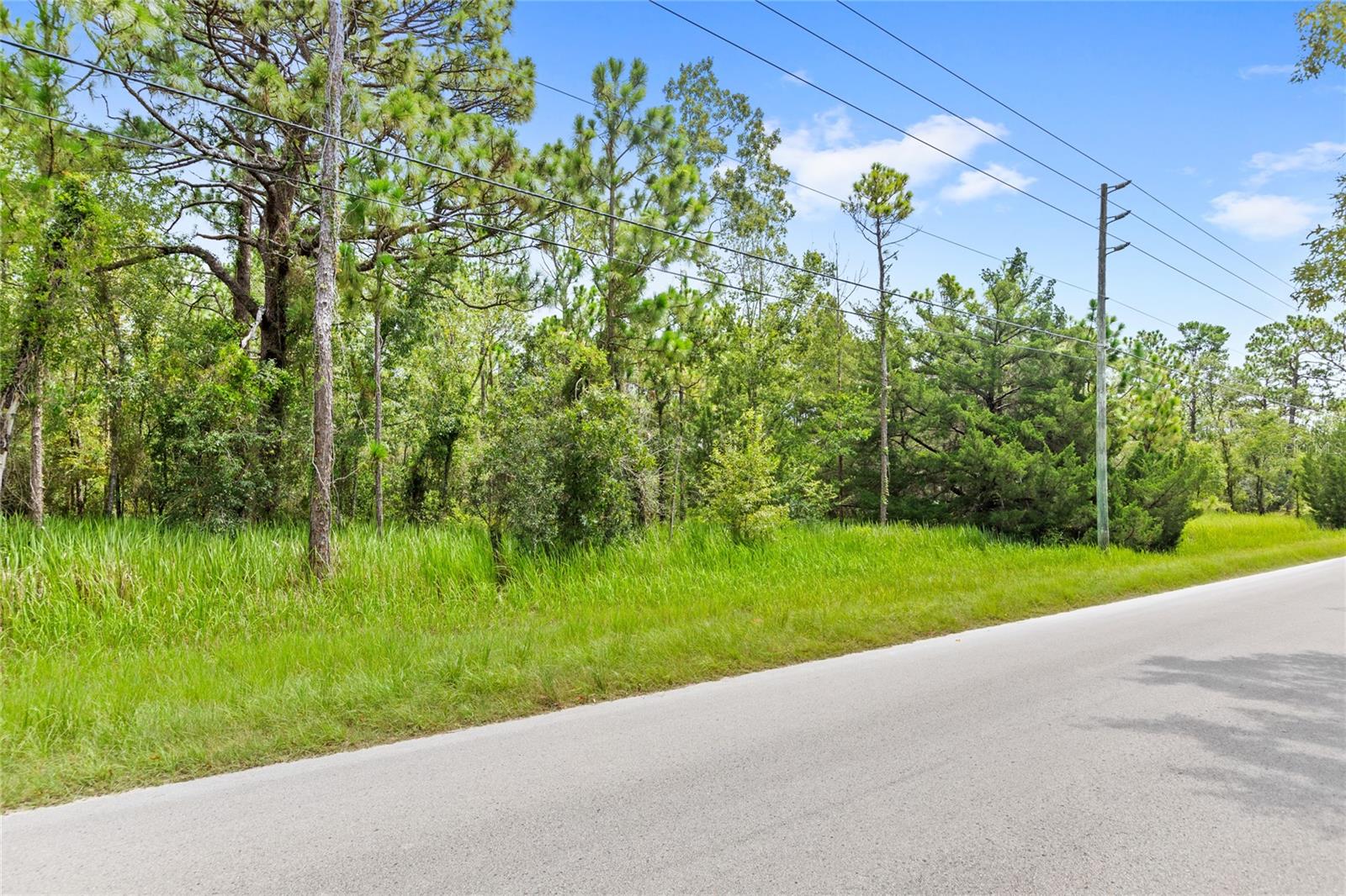 Image 4 of 15 For 14361 Switch Back Road