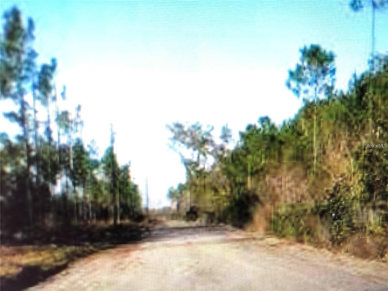 Details for 35 Acres Madison Main Line, PERRY, FL 32347
