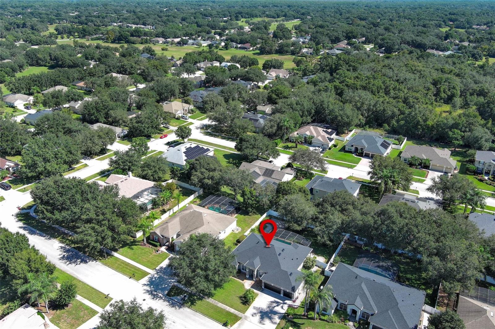 Image 66 of 67 For 3366 Players Point Loop