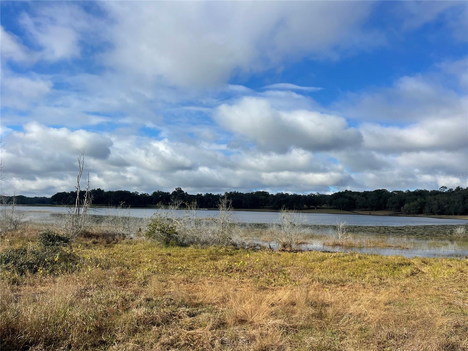 Details for Grays Airport Road, LADY LAKE, FL 32159