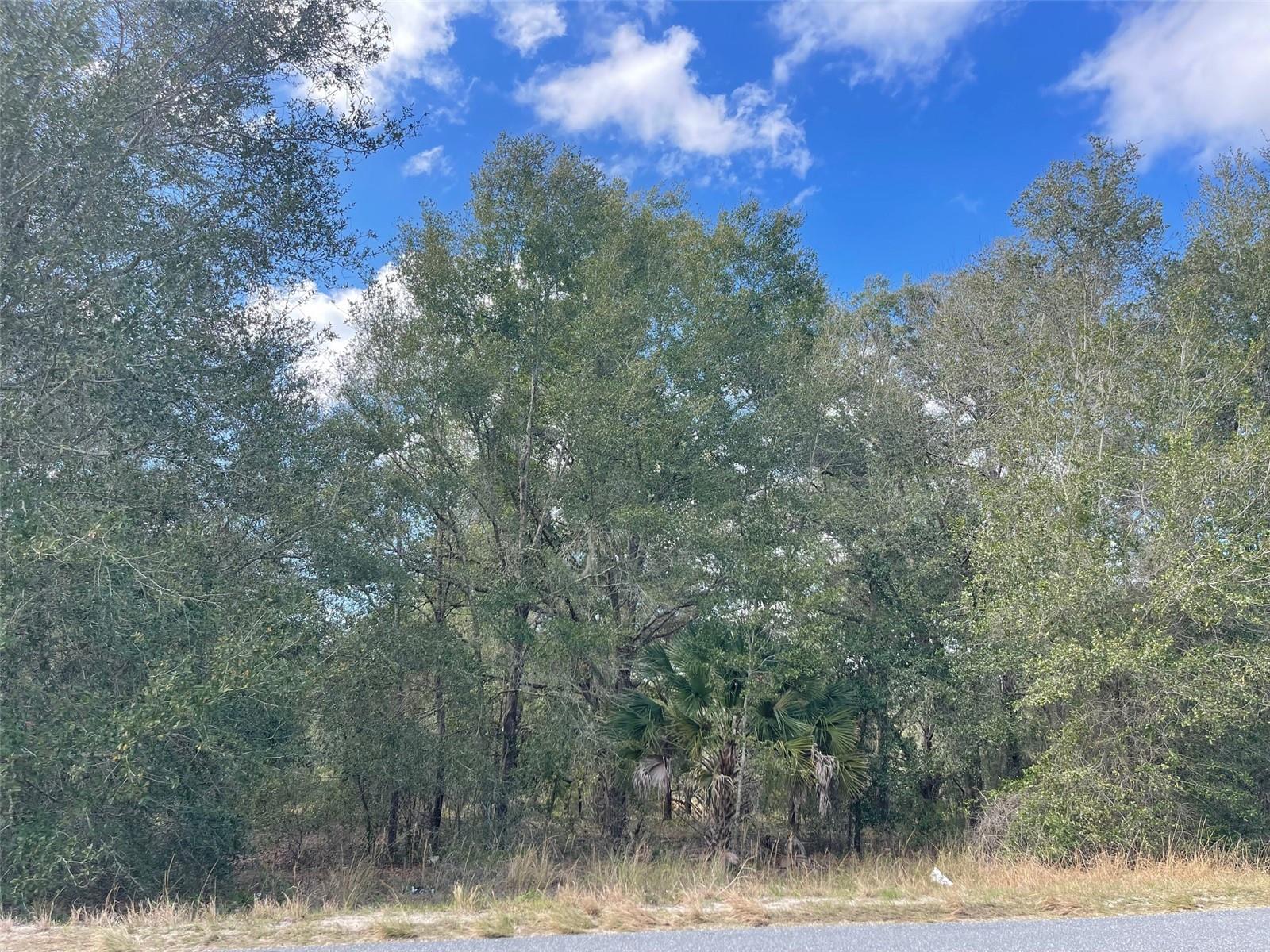 Listing photo id 3 for Grays Airport Road