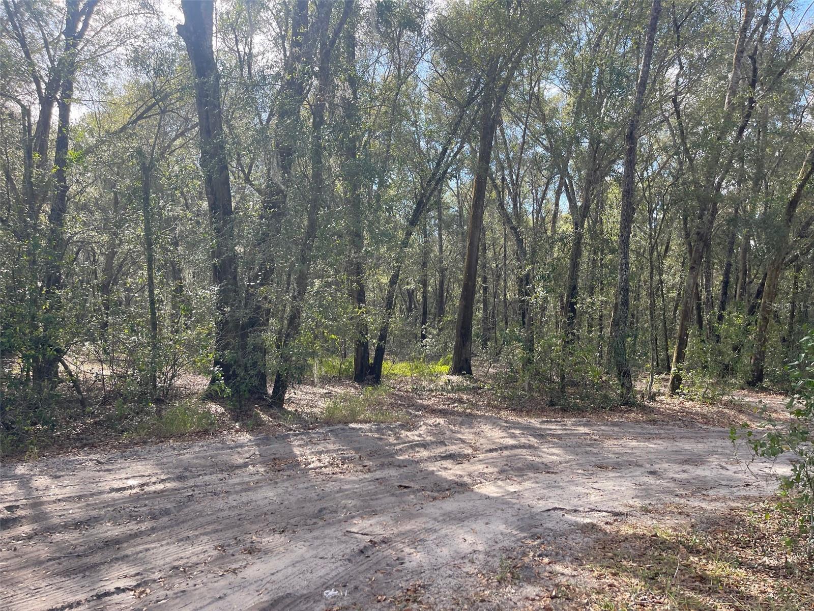 Listing photo id 4 for Grays Airport Road