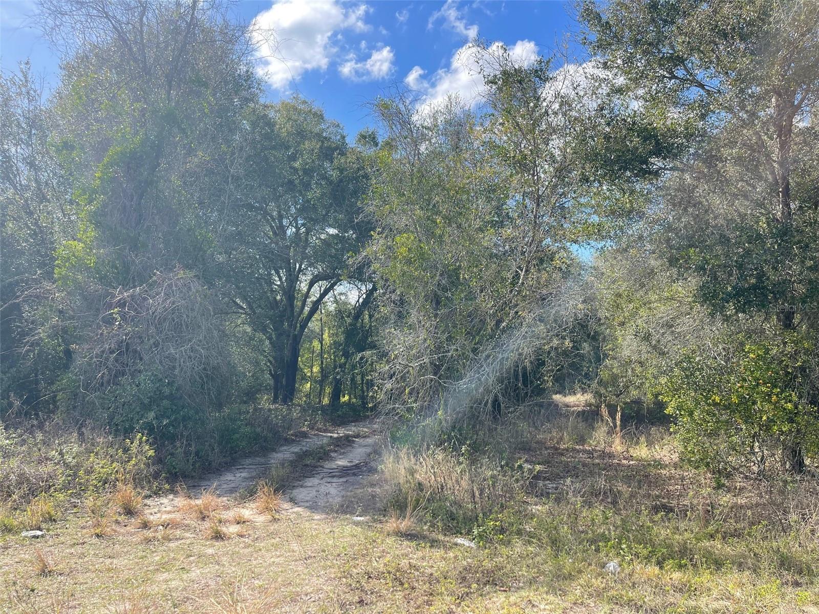 Listing photo id 6 for Grays Airport Road