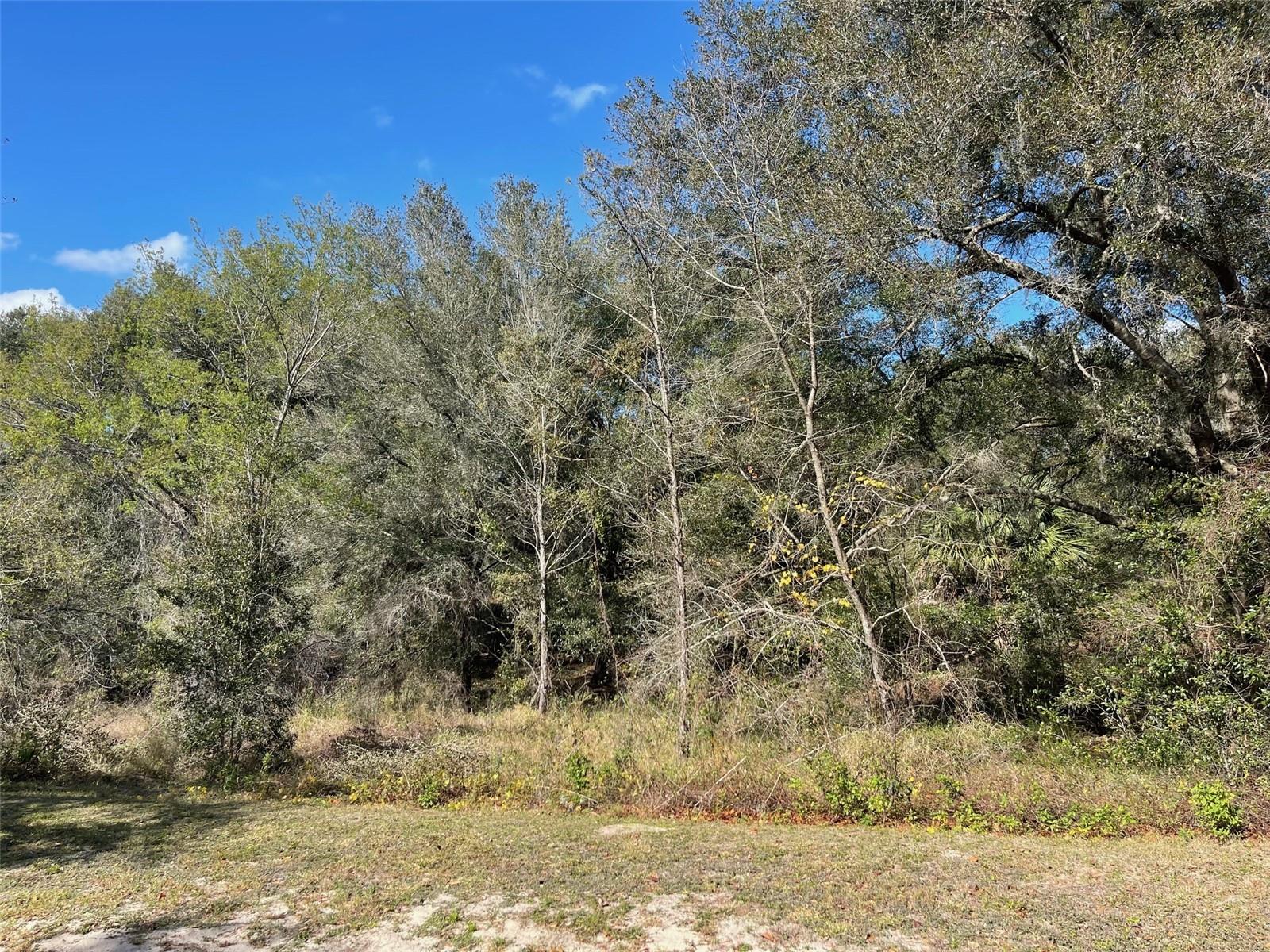 Listing photo id 7 for Grays Airport Road