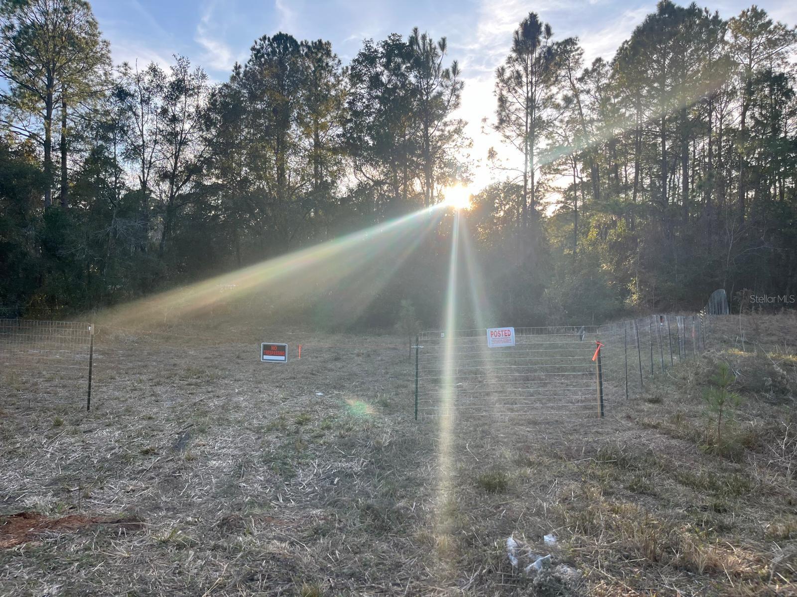 Details for 307 Mallard Road, SATSUMA, FL 32189
