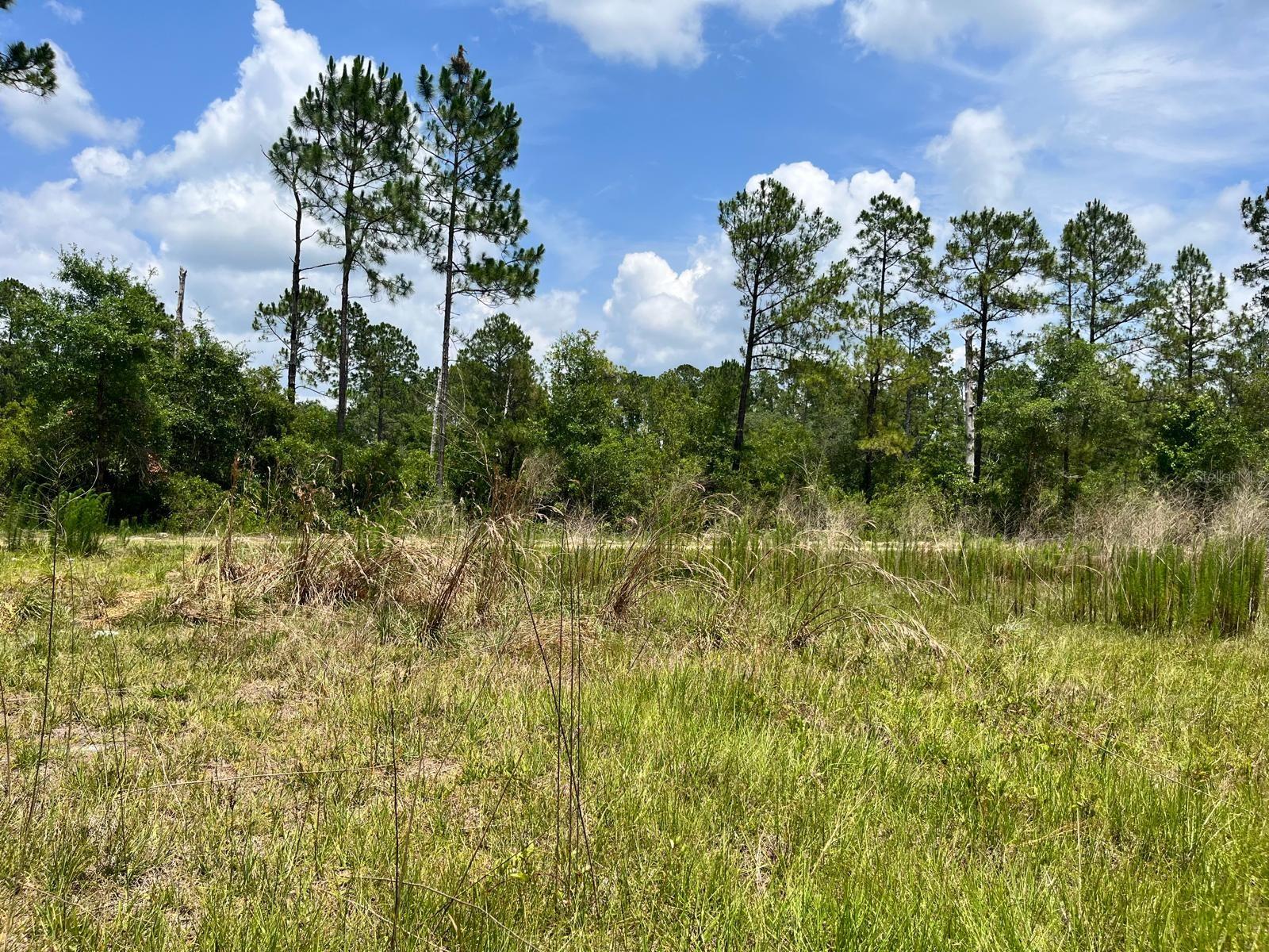 Image 11 of 11 For 307 Mallard Road