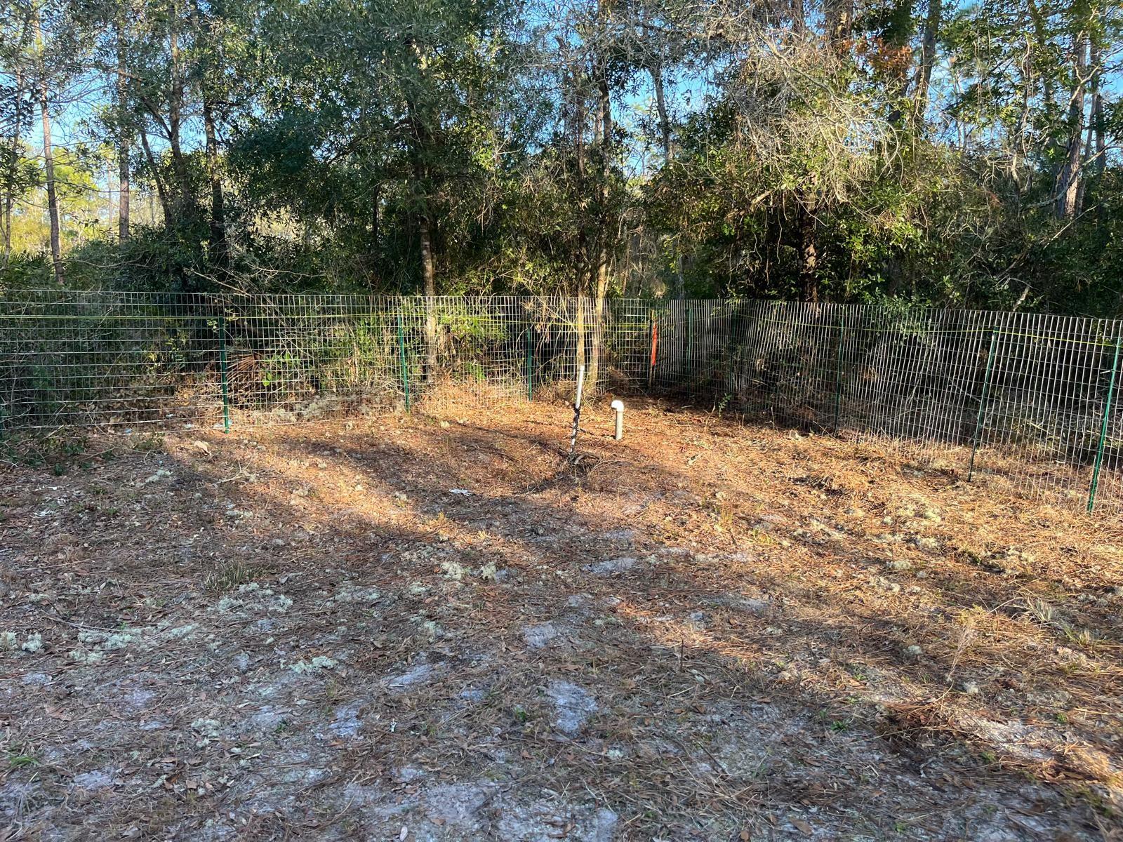 Image 3 of 11 For 307 Mallard Road