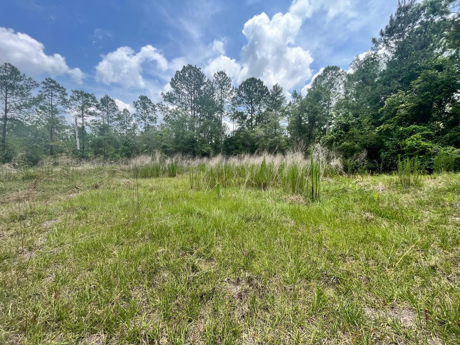 Image 5 of 11 For 307 Mallard Road