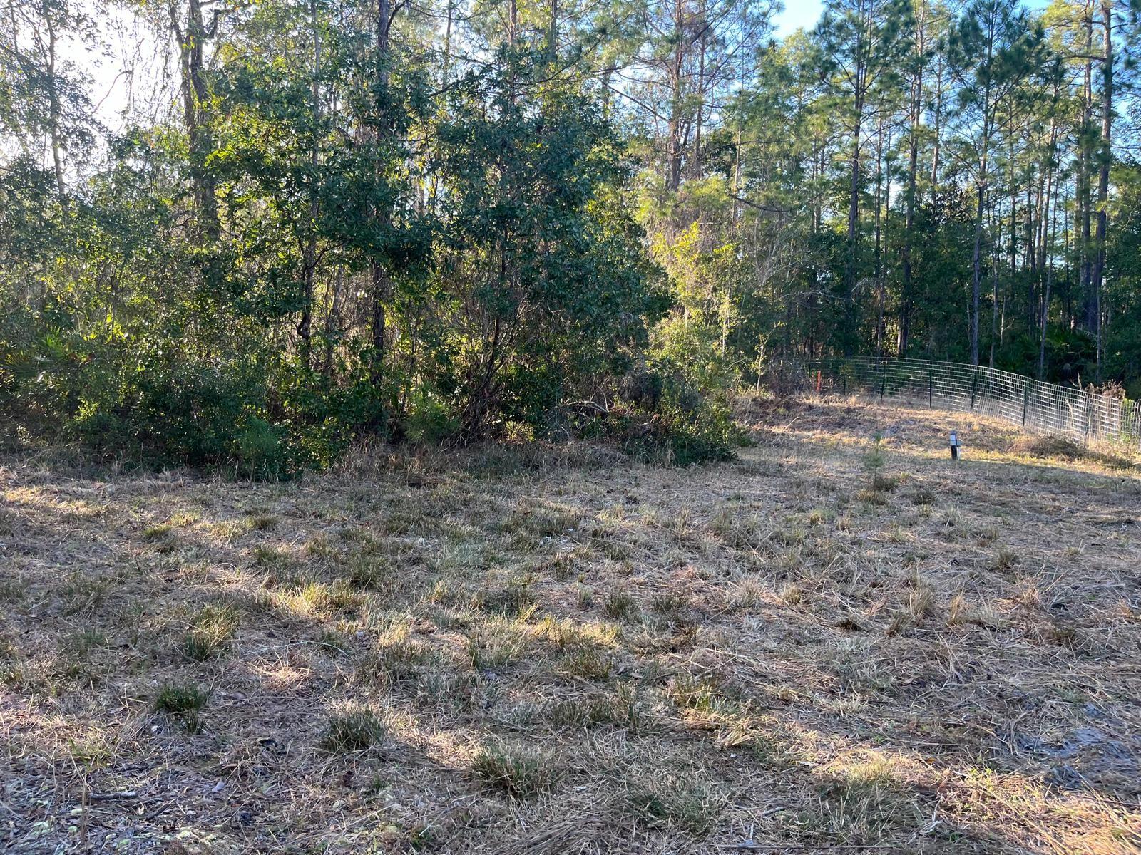 Image 6 of 11 For 307 Mallard Road