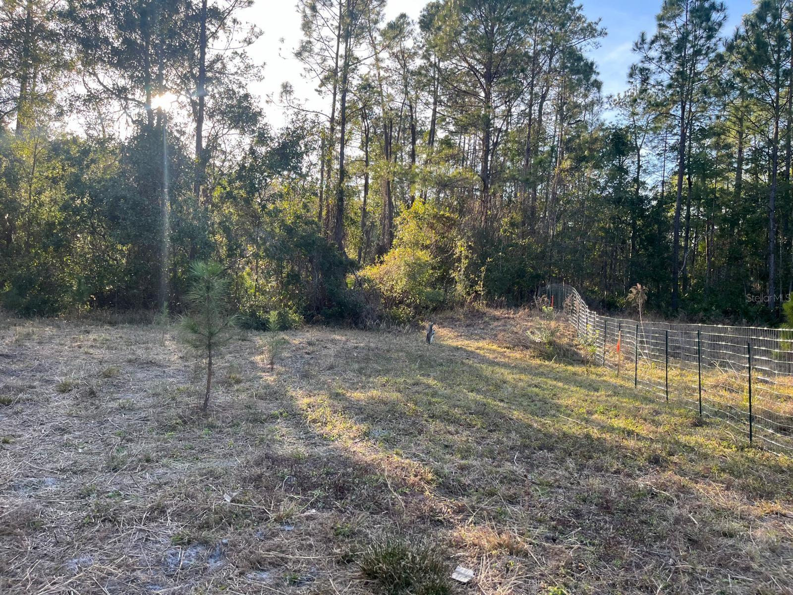 Image 9 of 11 For 307 Mallard Road