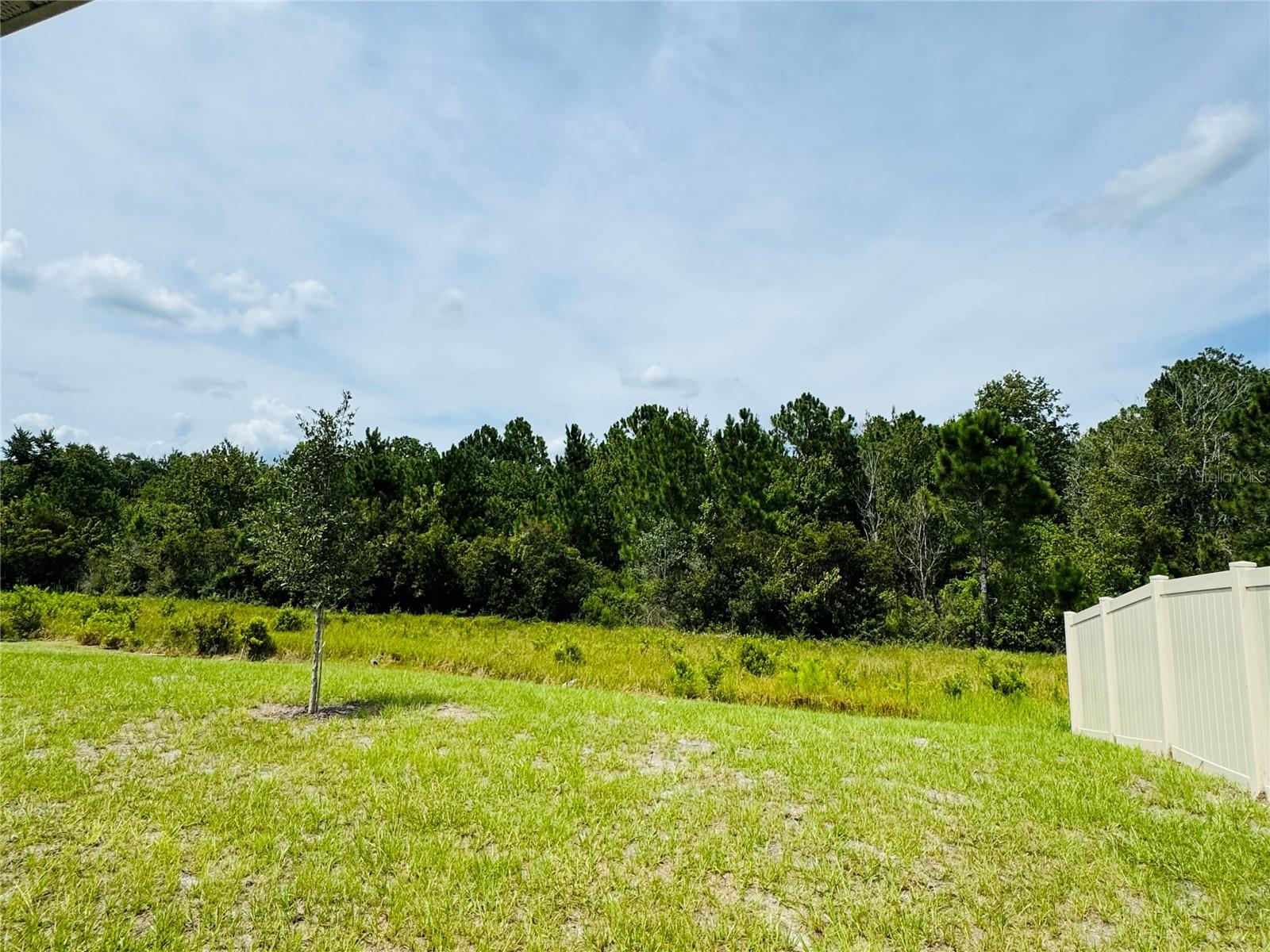 Image 28 of 32 For 4364 Sagefield Drive