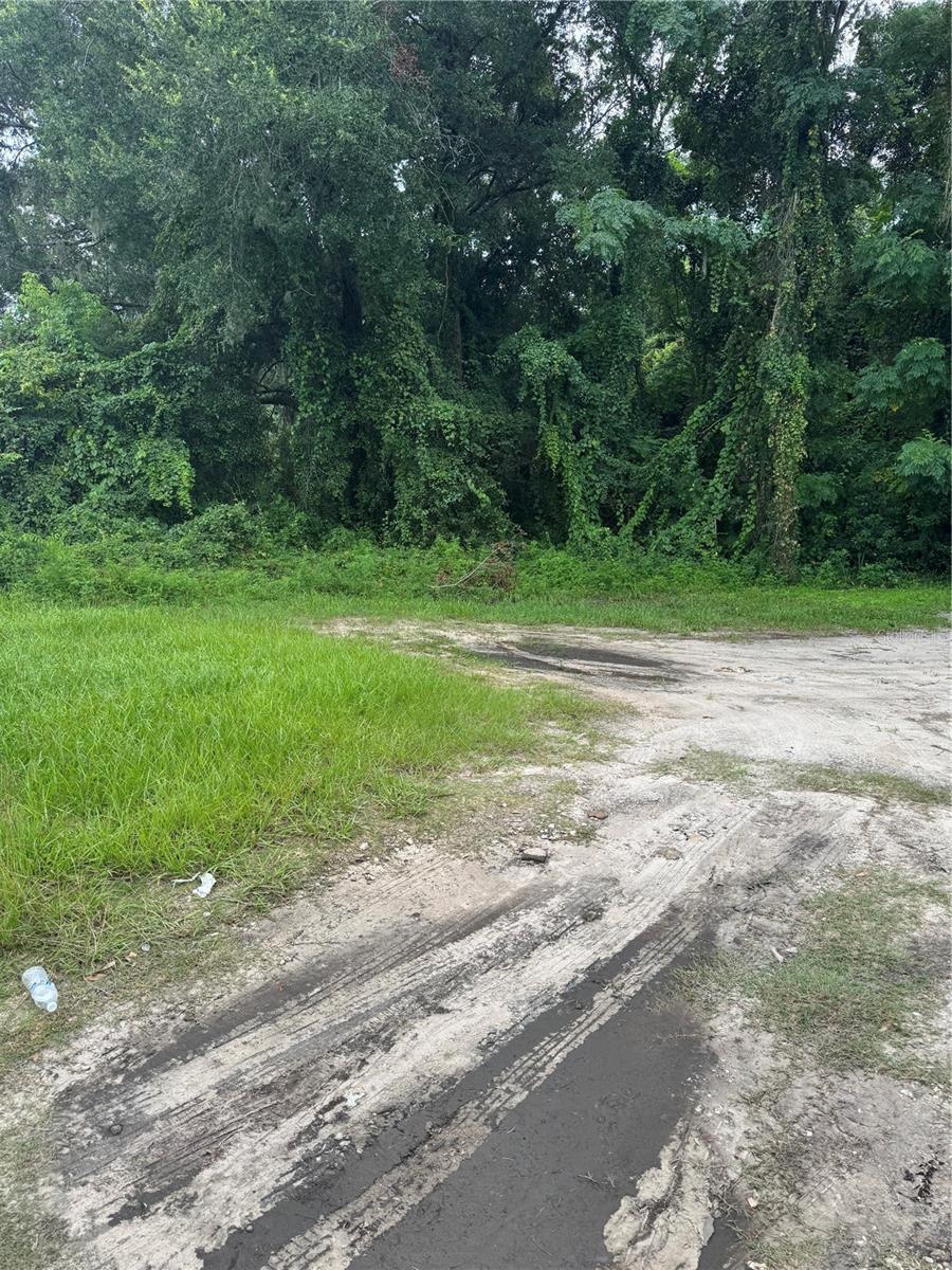 Image 5 of 5 For 1324 Silver Springs Boulevard