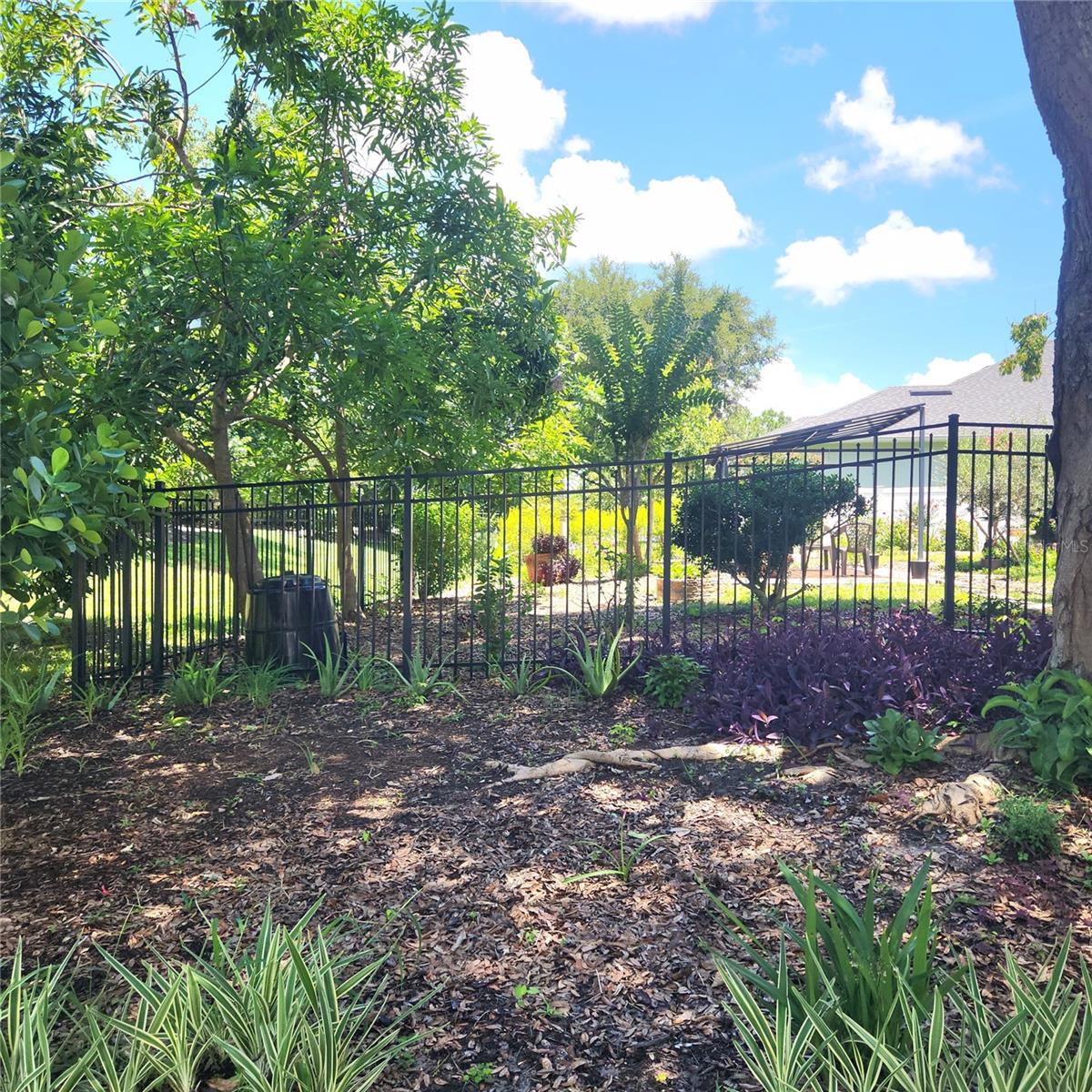 Image 42 of 45 For 9622 Cypress Pine Street