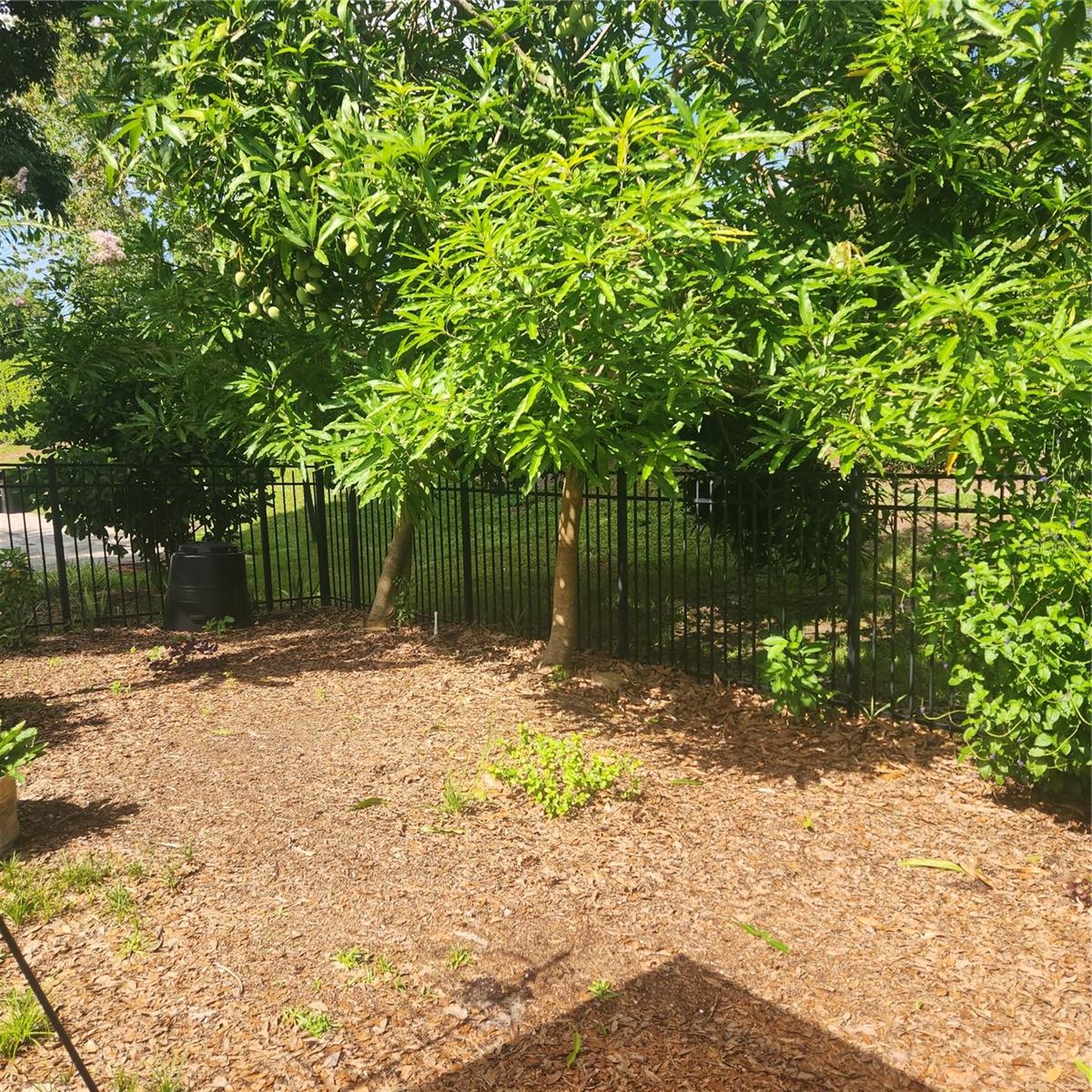 Image 43 of 45 For 9622 Cypress Pine Street