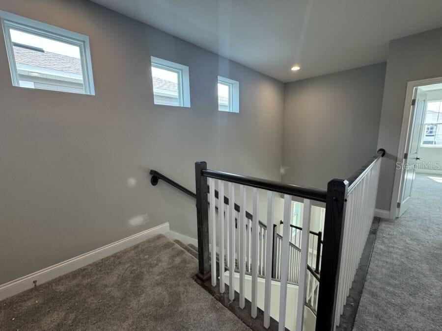 Image 15 of 36 For 631 Becklow Street