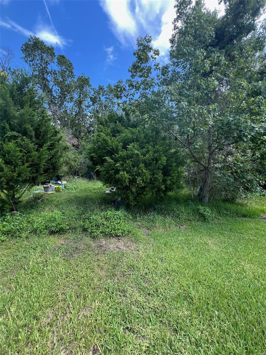Details for 18741 Plains Road, ARIPEKA, FL 34679