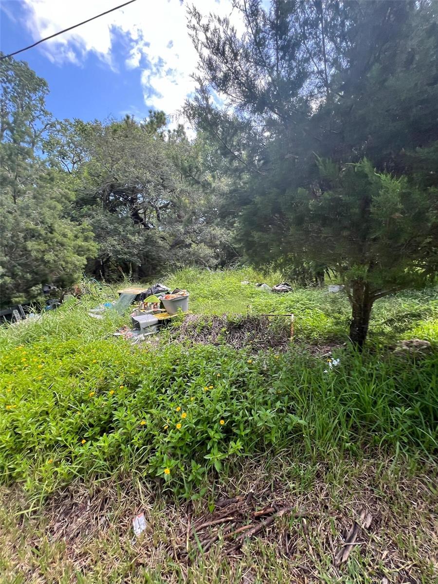 Image 2 of 6 For 18741 Plains Road