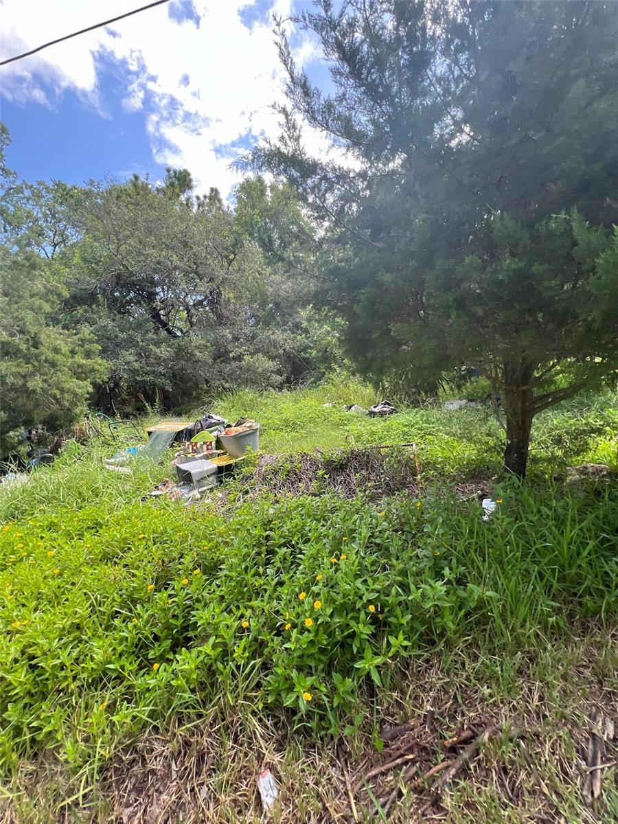Image 3 of 6 For 18741 Plains Road