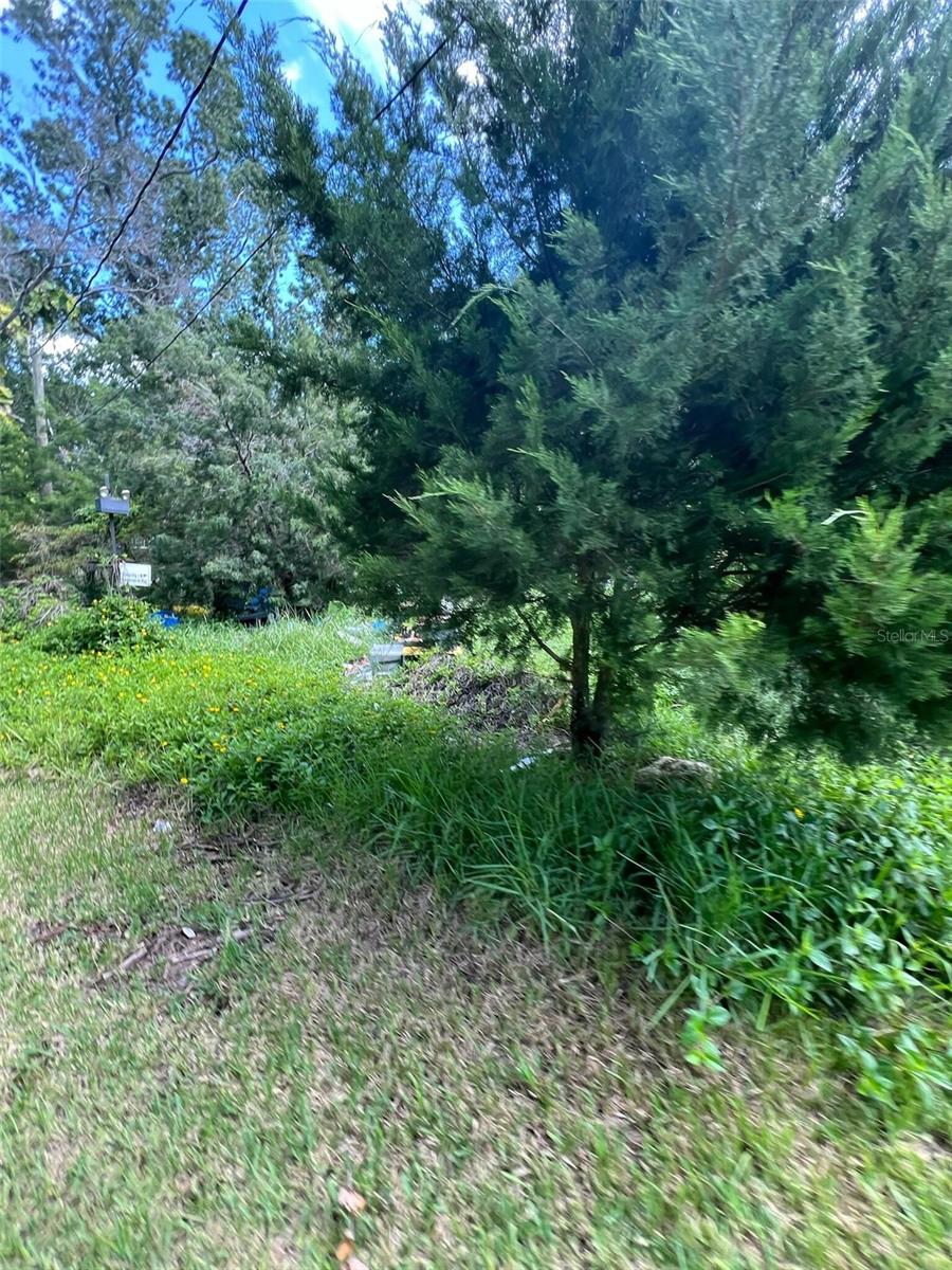 Image 5 of 6 For 18741 Plains Road