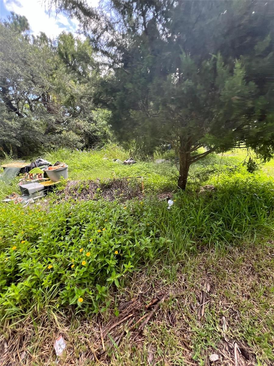 Image 6 of 6 For 18741 Plains Road