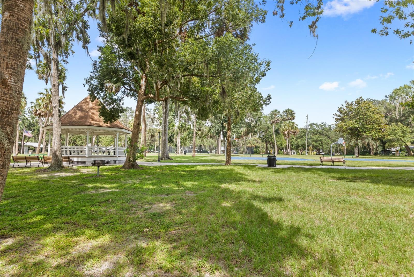 Listing photo id 43 for 309 Oakland Avenue