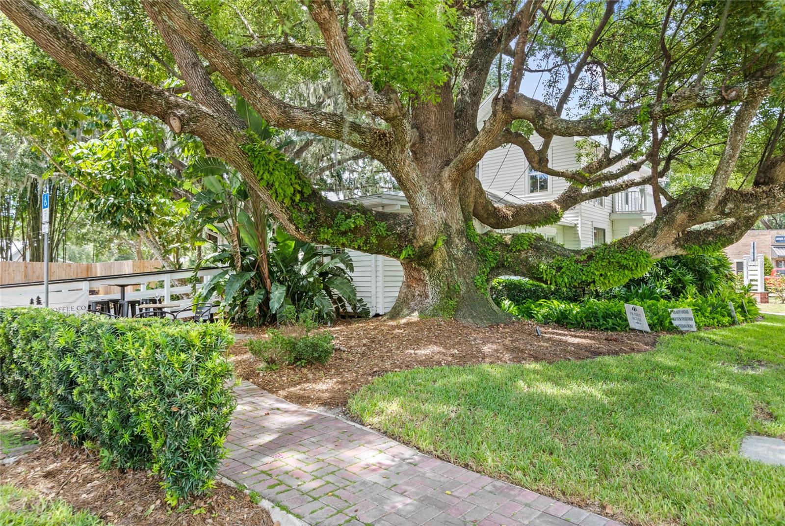 Listing photo id 45 for 309 Oakland Avenue