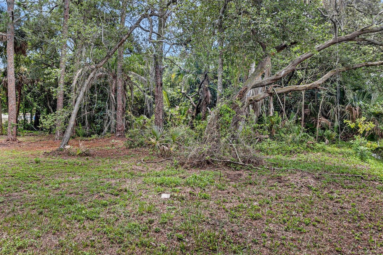 Image 21 of 22 For 315 Bayview Street A
