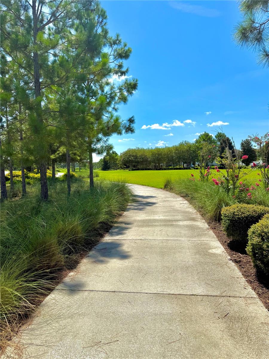 Image 33 of 43 For 15458 Honeybell Drive
