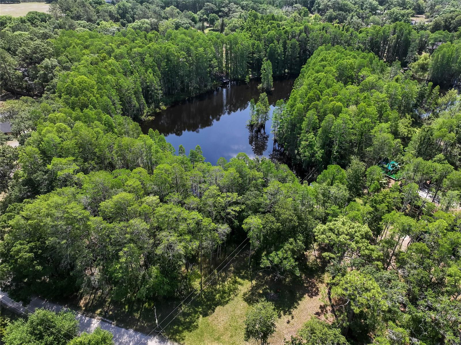 Listing photo id 21 for 19832 Westwood Lane