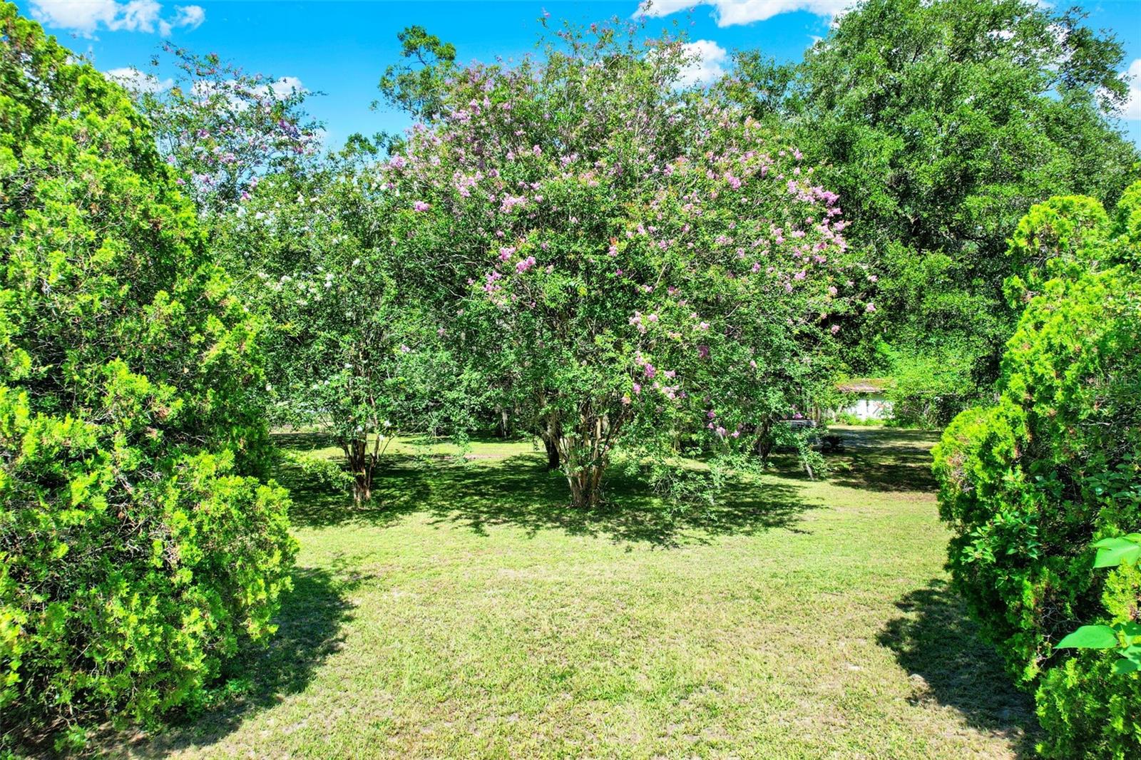 Image 5 of 18 For 847 31st Street