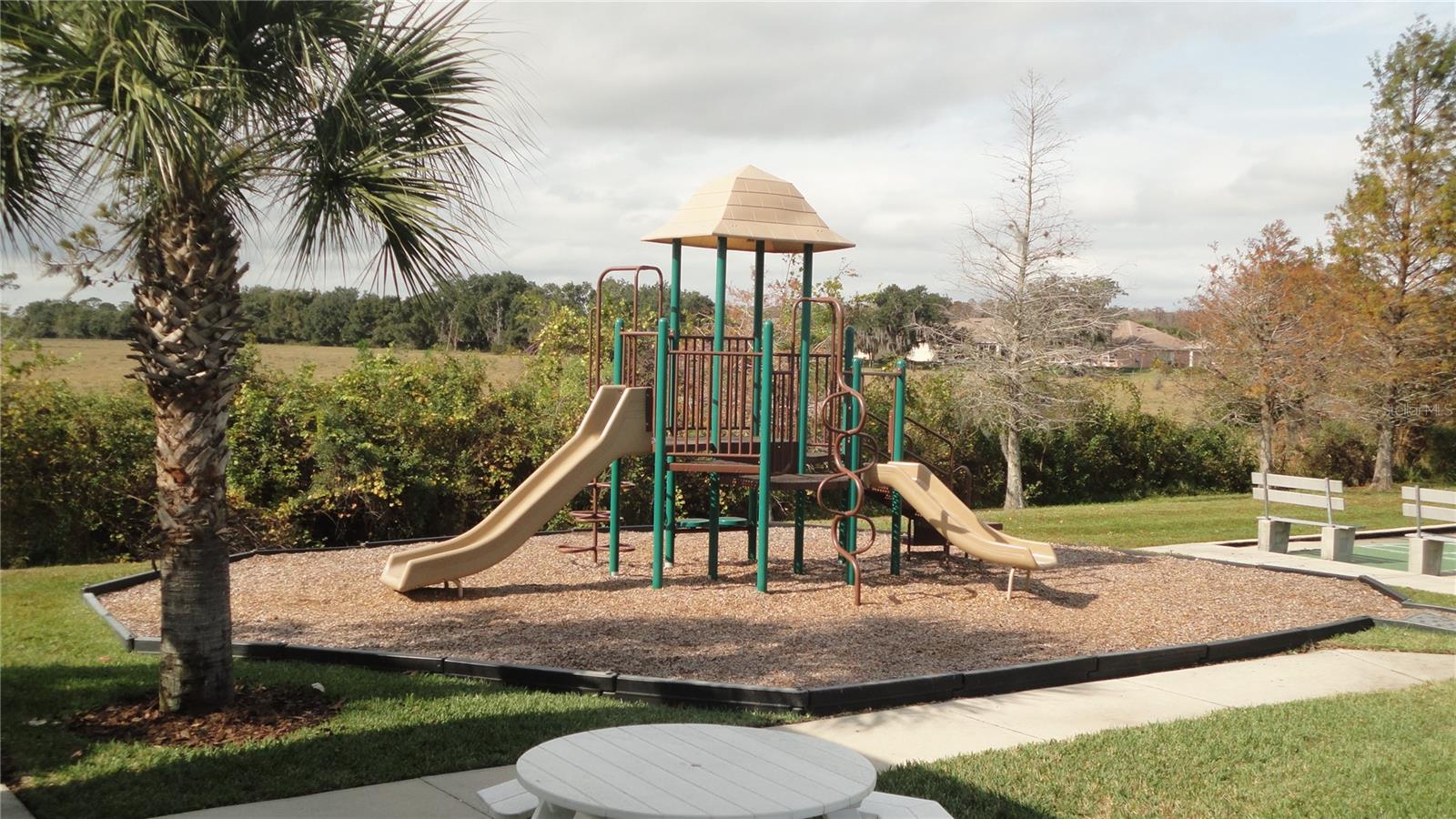 Image 33 of 33 For 3089 Dasha Palm Drive