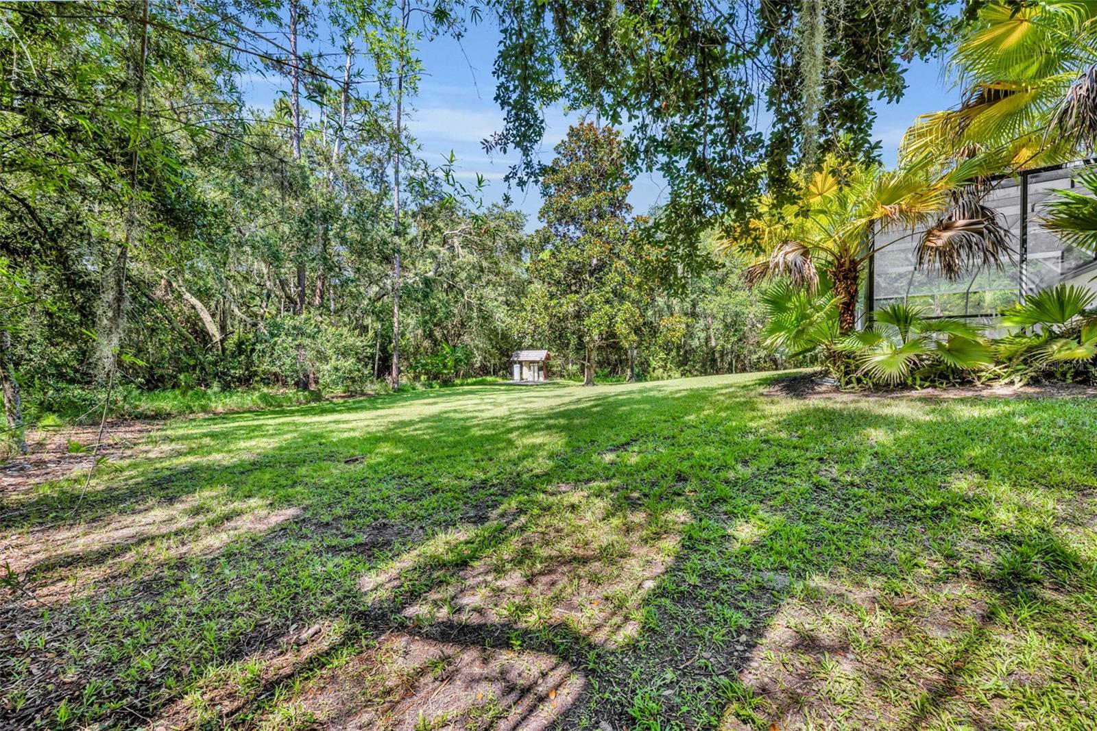 Image 40 of 44 For 13916 Bramble Bush Court