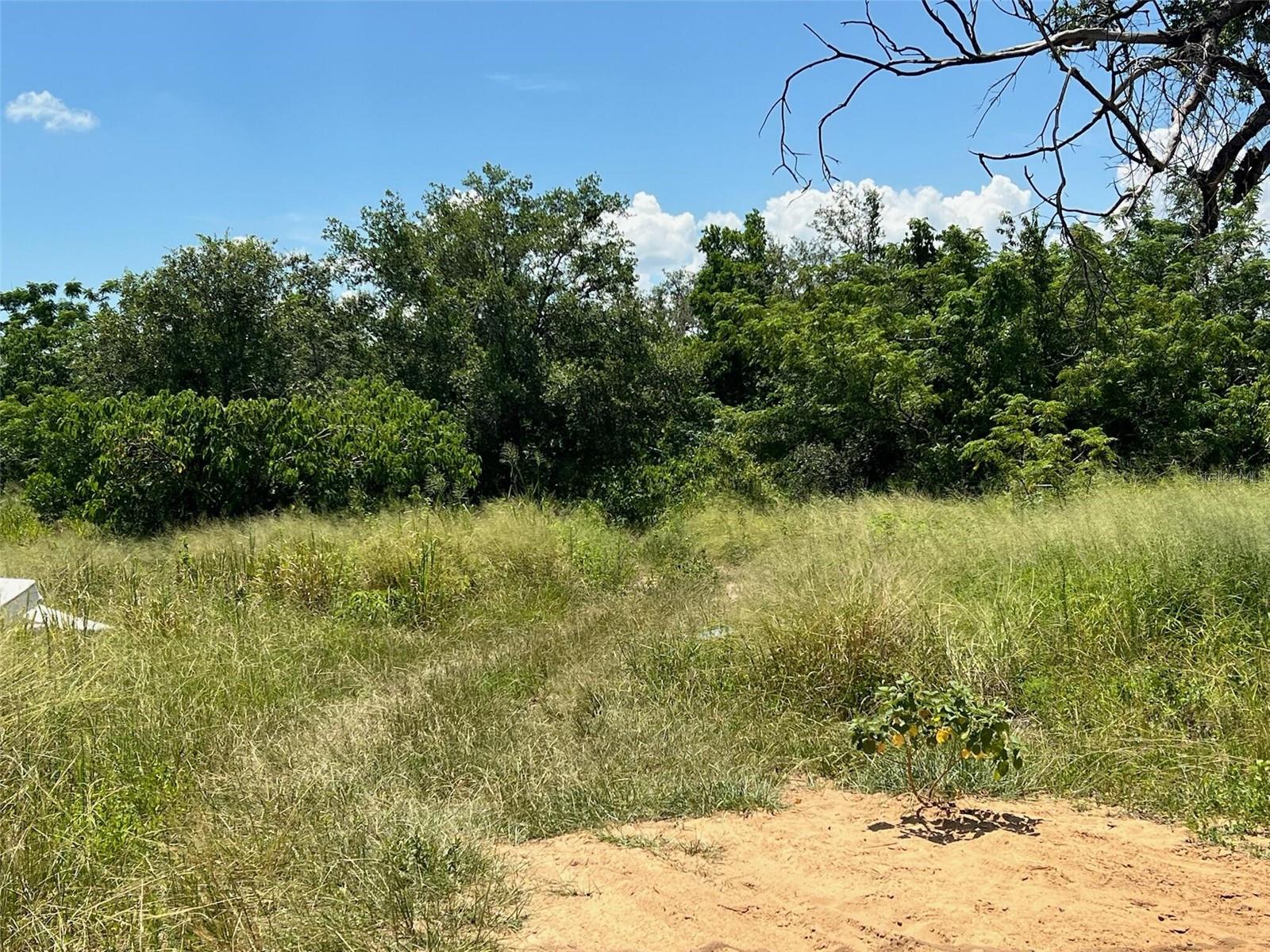 Image 6 of 7 For 935 Griffin Road