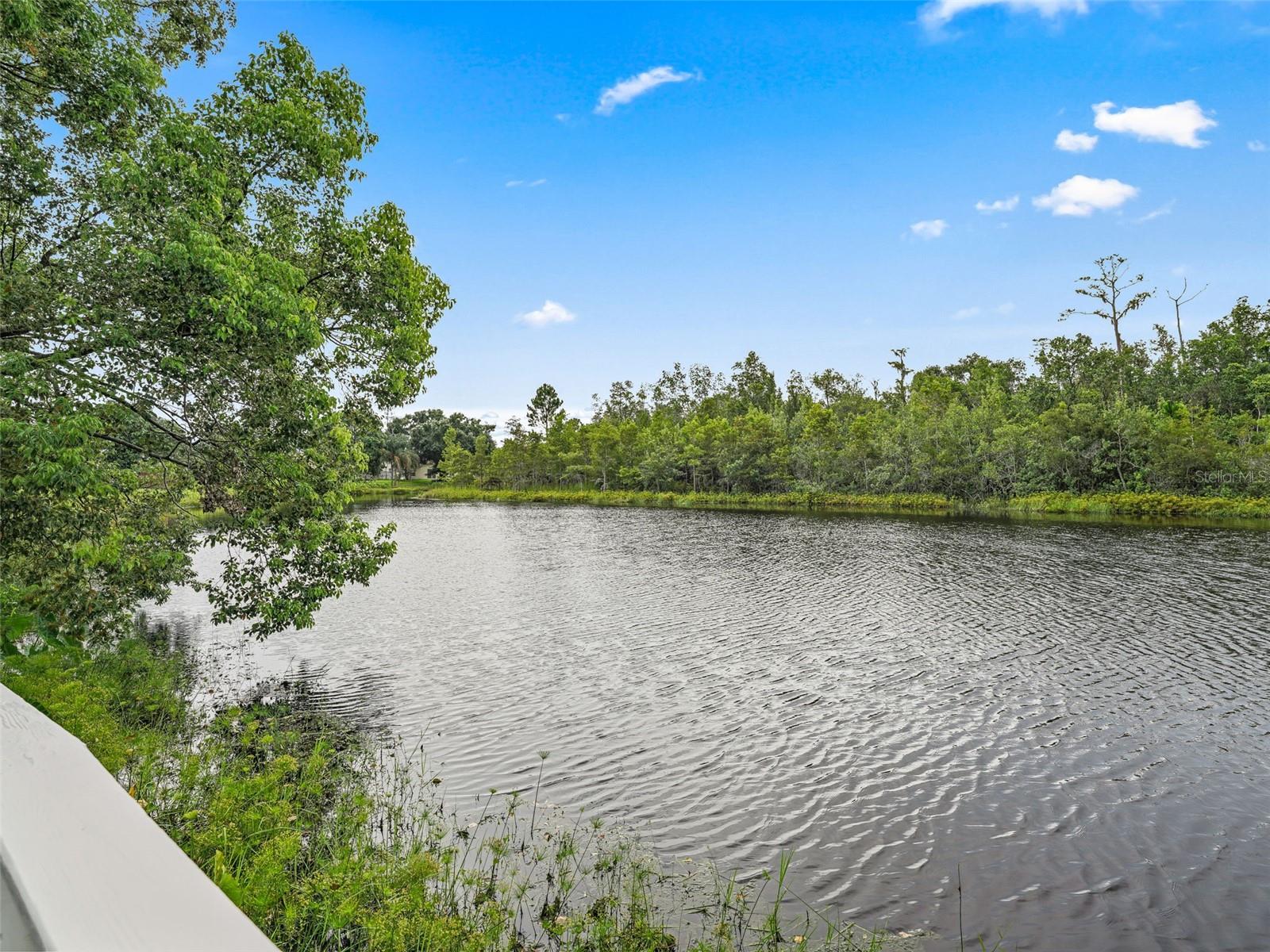 Image 45 of 51 For 2013 Ipsden Drive