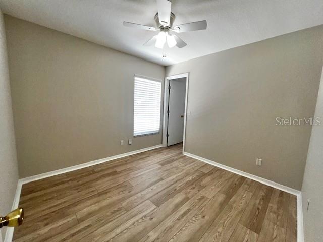 Image 34 of 60 For 2024 Donegan Place