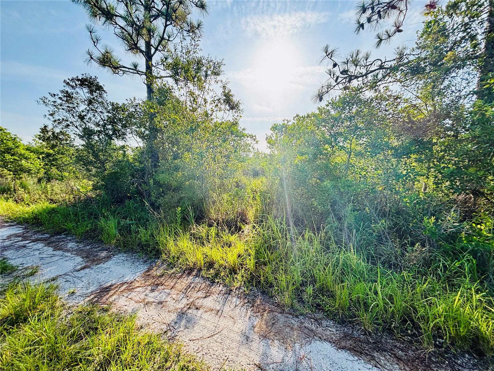 Details for 0 Shakedown Street, ST CLOUD, FL 34773