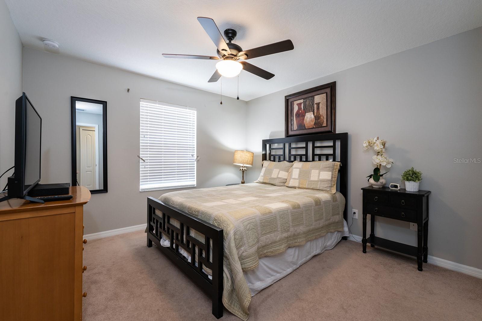 Image 19 of 25 For 8957 Cat Palm Road