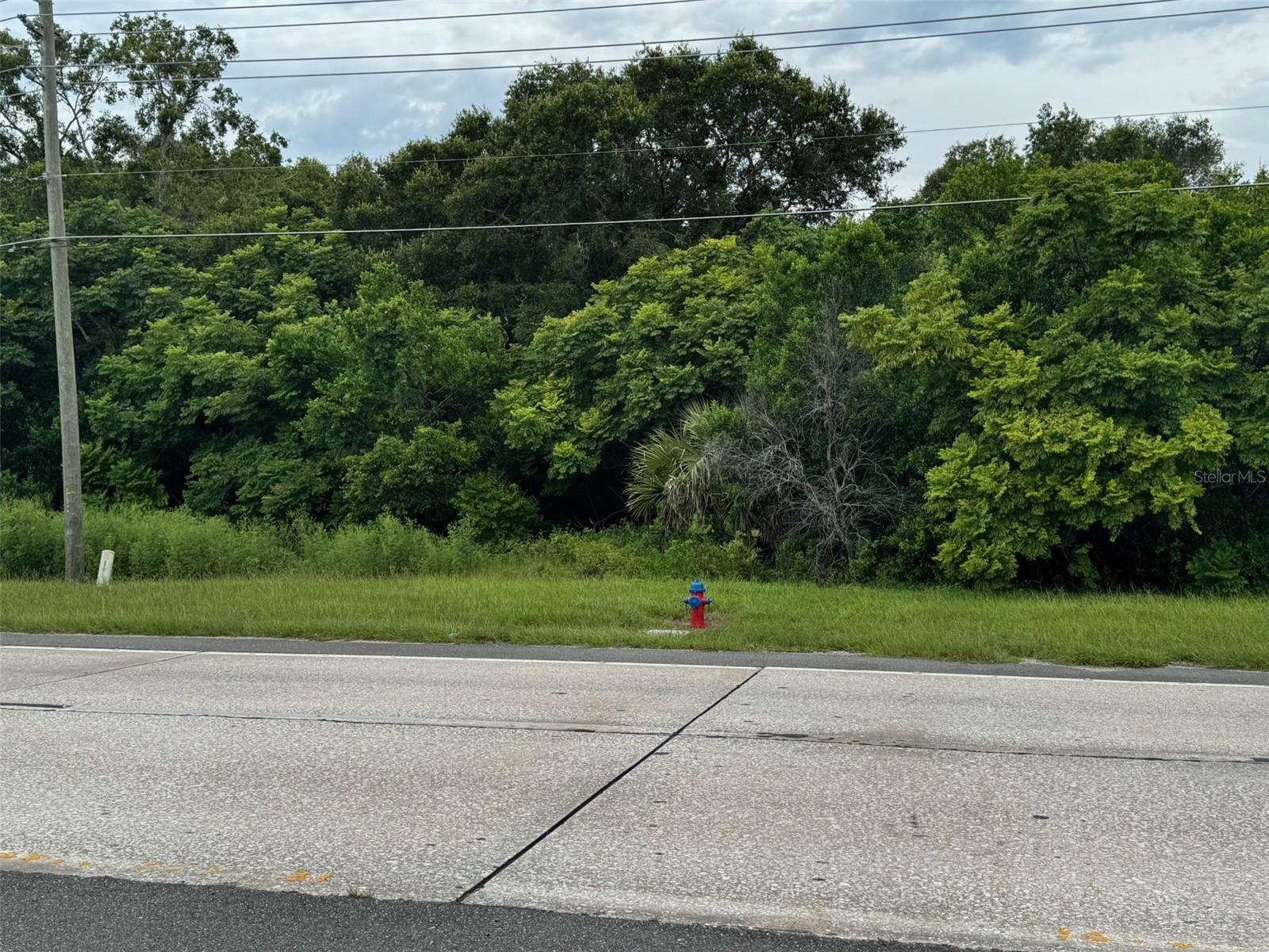 Image 11 of 14 For 4026 Orange Blossom Trail