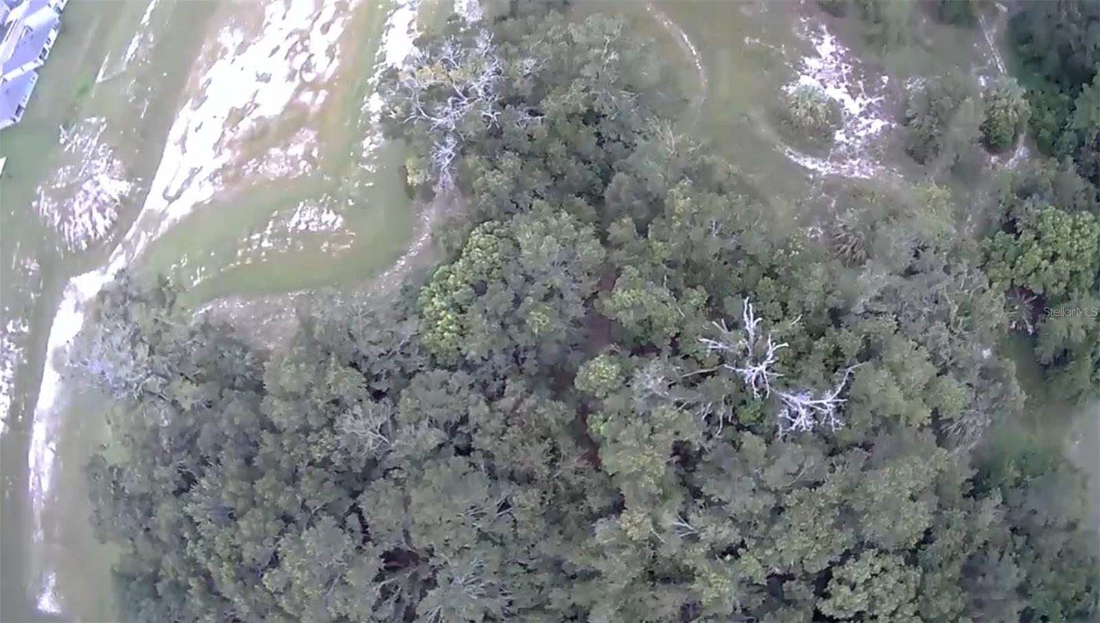 Image 6 of 14 For 4026 Orange Blossom Trail